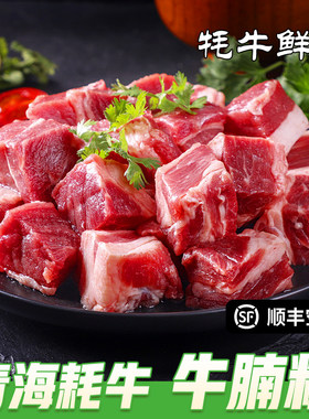 正宗青海牦牛新鲜现宰牛腩牛肉
