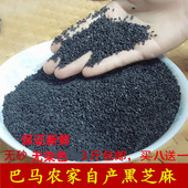 广西巴马特产生黑芝麻农家自产小颗粒糠芝麻500克25年新特级芝麻