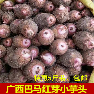 25年广西巴马世界长寿富硒之乡毛芋小红芽芋头仔新鲜香沙5斤 包邮