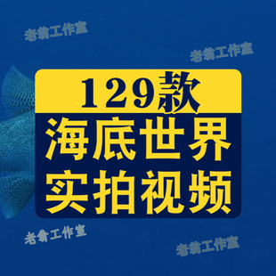 海底世界潜水员探索水底水下深海冒险鱼群短视频高清实拍素材剪辑