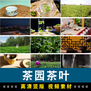 茶山茶园采茶茶叶古风舞台抖音绿幕动态直播间led背景短视频素材
