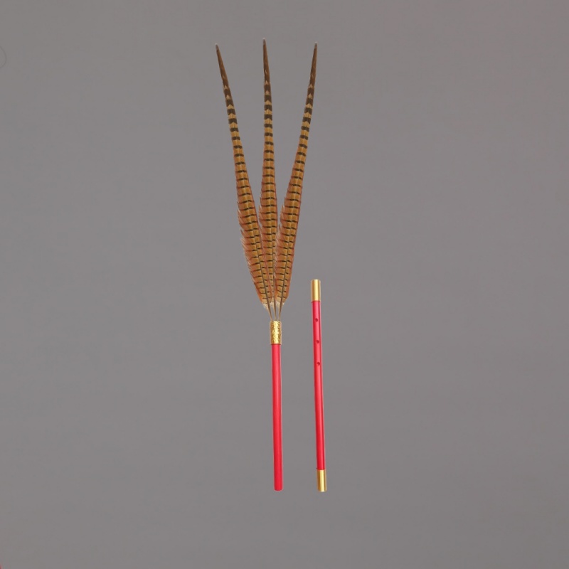 祭祖祭祀八佾舞翟籥道具