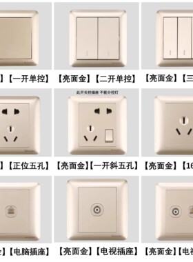 施耐德开关插座畅意+雅致金亮面10A五孔二三插一开双控二开电视