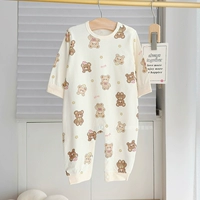 Модели хорошего бурого медвежьего медведя и осени