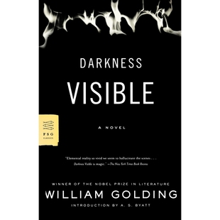 Darkness 博库网 Visible