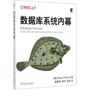 8069768|现货包邮数据库系统内幕 [美]亚历克斯·彼得罗夫（Alex Petrov）数据库分布式存储现代数据库存储引擎分布式系统官方正版