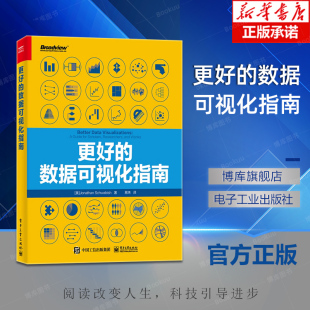 指南构建 数据可视化样式 数据可视化分析书籍 创建有效可视化 乔纳森·施瓦比什 更好 通用指导原则 数据可视化指南