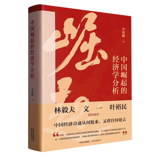中国崛起的经济学分析 林毅夫、文一、叶裕民联袂推荐阅读，深刻反思而充满文化自信，探索中国特色的经济学体系。