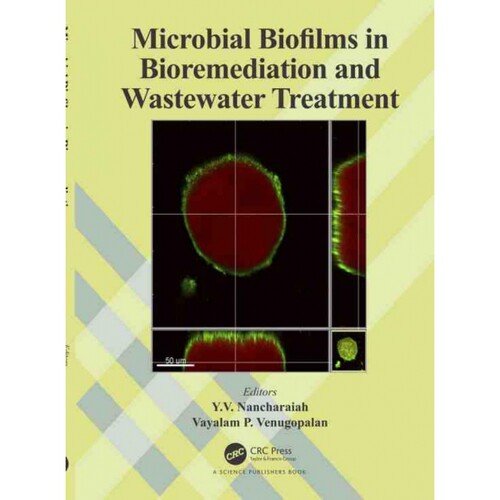 TF Microbial Biofilms in Bioremediation and Wastewater Treat