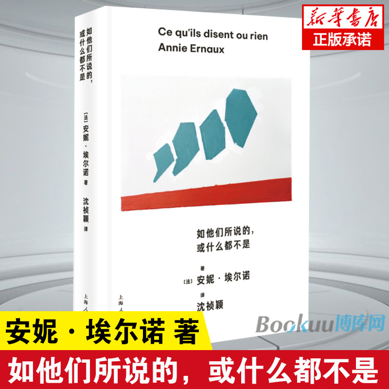 如他们所说的或什么都不是安妮·埃尔诺著 2022年诺贝尔文学奖得主悠悠岁月作者外国小说现当代文学书籍新华书店正版上海译