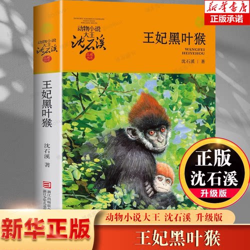 王妃黑叶猴 沈石溪动物小说品藏书系升级版 小学生课外阅读书籍6-12岁青少年版儿童文学三四五六年级阅读儿童文学故事畅销书