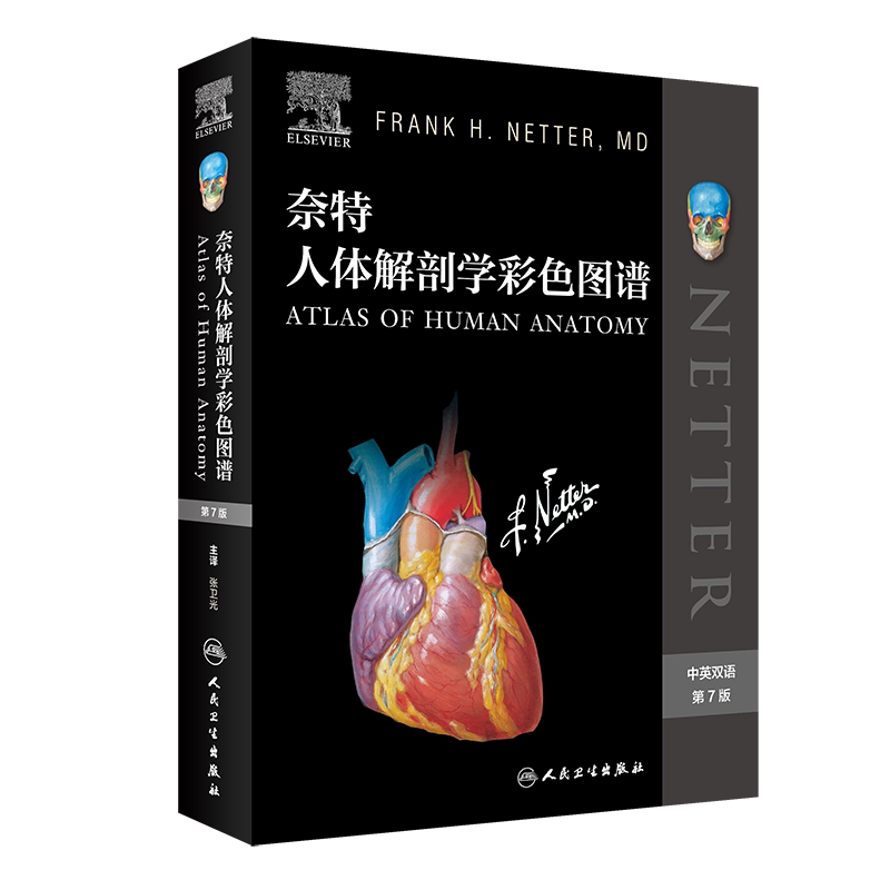 奈特人体解剖学图谱第8版