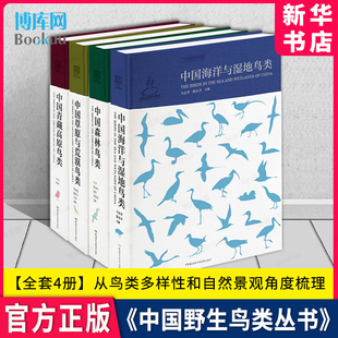 草原与荒漠鸟类 中国野生鸟类系列丛书 中国地理环境分布与鸟类鸟种类研究 青藏高原鸟类 四本 森林鸟类 中国海洋与湿地鸟类 套装