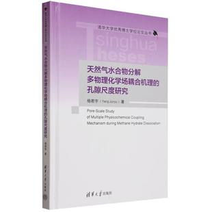 天然气水合物分解多物理化学场耦合机理的孔隙尺度研究(精)/清华大学优秀博士学位论文  博库网