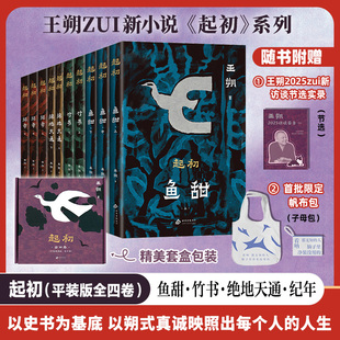 【礼盒版+赠帆布包+王朔2025访谈节选实录】起初平装版全四卷 十五年磨一剑王朔再次席卷文坛 起初·纪年+竹书+鱼甜+绝地天通书籍