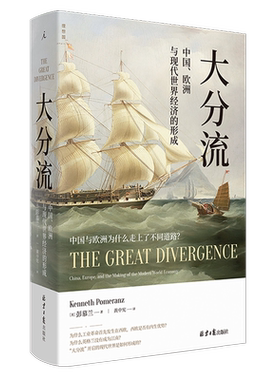 大分流 中国、欧洲与现代世界经济的形成 全新译本 彭慕兰著 贸易打造世界 探索现代世界经济和世界体系的起源 正版