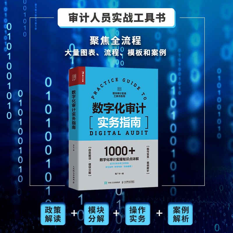 正版现货数字化审计实务指南图片
