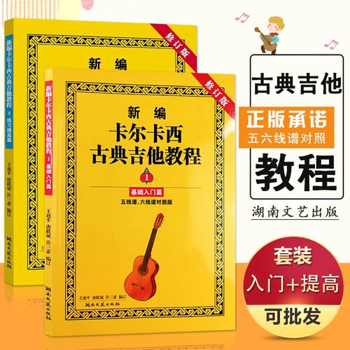 正版现货 新编卡尔卡西古典吉他教程（入门篇+提高篇）实用进阶古典吉他教程练习与提高 古典吉他曲谱 吉他曲谱书籍湖南文艺出版社
