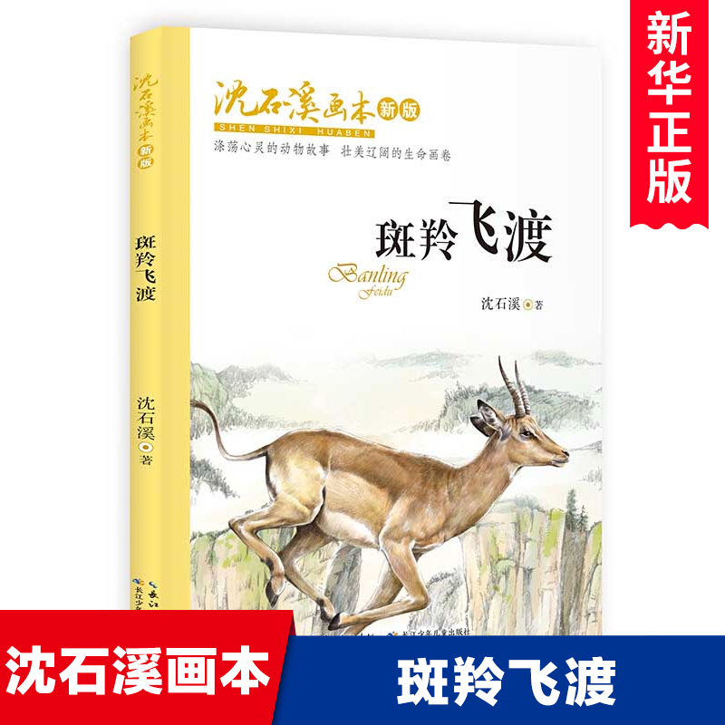 斑羚飞渡/沈石溪画本彩图版动物小说故事书大自然生命教育主题读物青少年成长励志儿童文学三四五六年级小学生课外阅读书籍