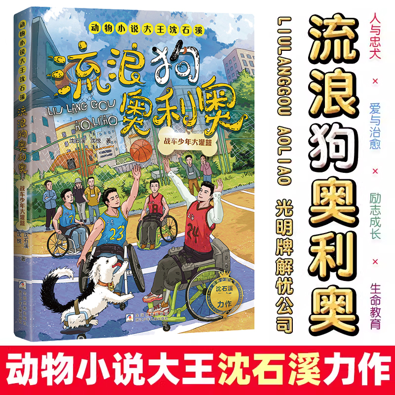 动物小说大王沈石溪·流浪狗奥利奥：战车少年大灌篮 励志成长生命教育儿童绘本图画书少儿动漫书7-9-12-14岁小学生课外阅读书籍