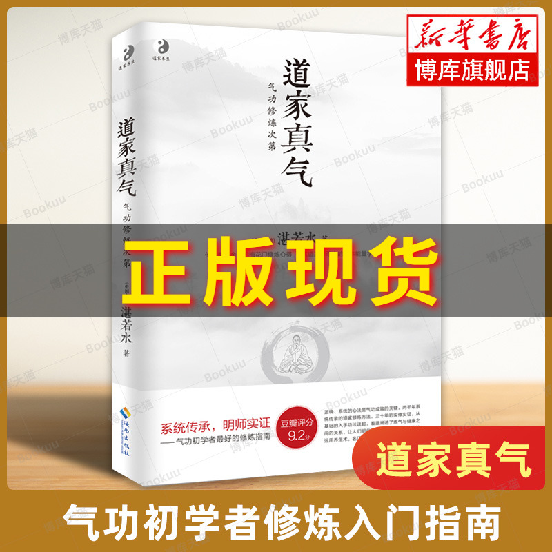 道家真气气功修炼次第湛若水传承两千余年的梅花门修炼心得气功初学者修炼入门指南书籍道家内丹之道中国文化海南出版社