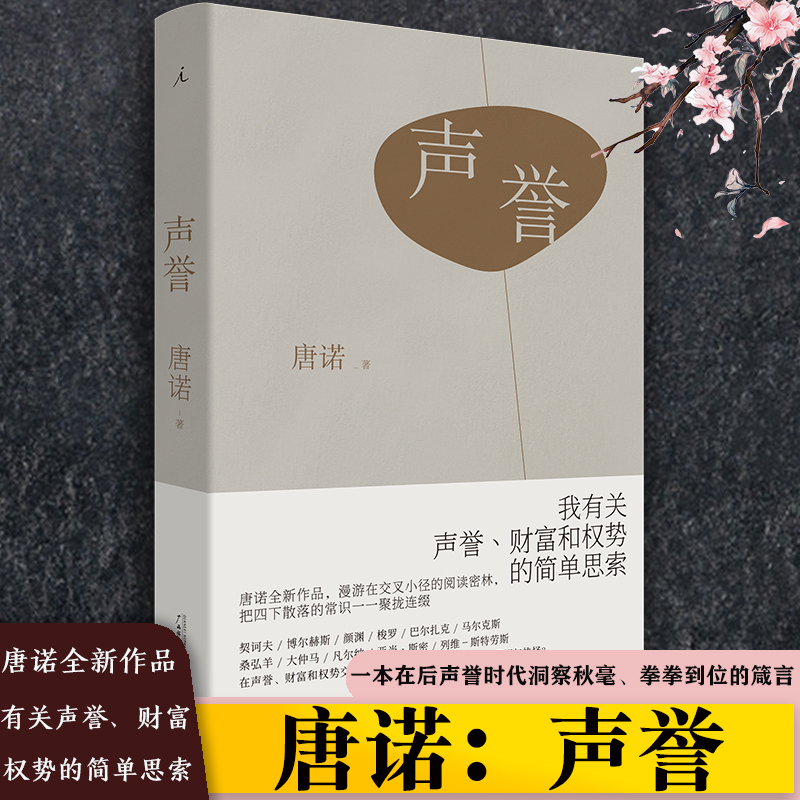 正版理想国声誉唐诺作品我有关声誉财富和权势的简单思索漫游在交叉小径的阅读密林中国文学随笔作品集广西师大出版社