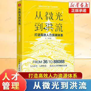 价值创造 人才管理 从微光到洪流：打造高效人力资源体系 人力资源管理HR人才画像员工关系绩效KPI数字化企业管理书籍