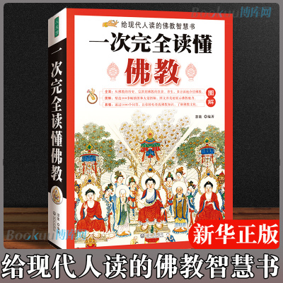 图解一次完全读懂佛教研究佛学 佛说藏传佛道经典历史知识学佛 禅道佛书佛经静心经 入门书籍禅宗 百科白话本畅销书籍