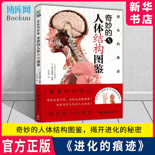 进化的痕迹奇妙的人体结构图鉴