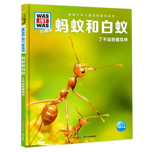 蚂蚁和白蚁 了不起的建筑师珍藏版 精装少年儿童百科知识全书 让孩子放眼看世界 放手去探索 体会蚂蚁和白蚁创造巢穴的神奇
