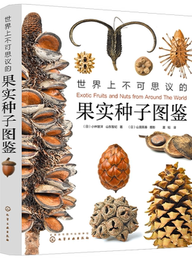 世界上不可思议的果实种子图鉴