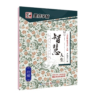 墨点字帖 智慧人生行楷 经典文化系列 初中高中小学儿童钢笔练字帖成年楷书硬笔书法大学生练字本荆霄鹏大开本初学者入门基础训练