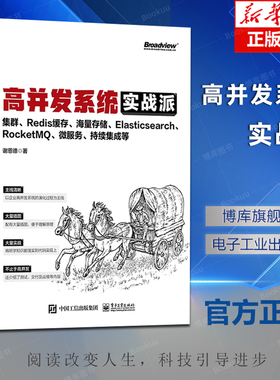 高并发系统实战派 集群 Redis缓存 海量存储 Elasticsearch RocketMQ 微服务 持续集成等 企业系统技术框架搭建技术