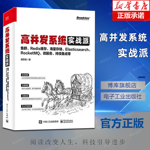 高并发系统实战派 集群 Redis缓存 海量存储 Elasticsearch RocketMQ 微服务 持续集成等 企业系统技术框架搭建技术