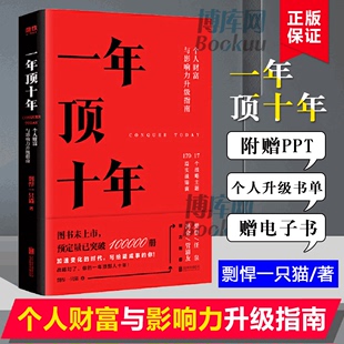 一年顶十年 电子书 书单 剽悍一只猫著 附赠PPT 全力打造个人财富与影响力升级指南樊登首席社群顾问冯仑推介书籍正版