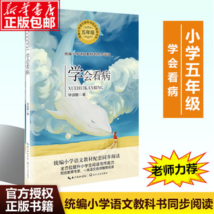 毕淑敏 成长励志含那个搭车 树等正版 学会看病 著现当代文学散文集5五年级小学生课外书籍语文教材配套同步阅读 近 青年离太阳