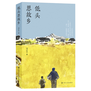 低头思故乡 况正兵著 一个农村80后的逆袭成长 异乡漂泊 致每一位努力生活的人 现当代文学散文随笔畅销书籍排行榜