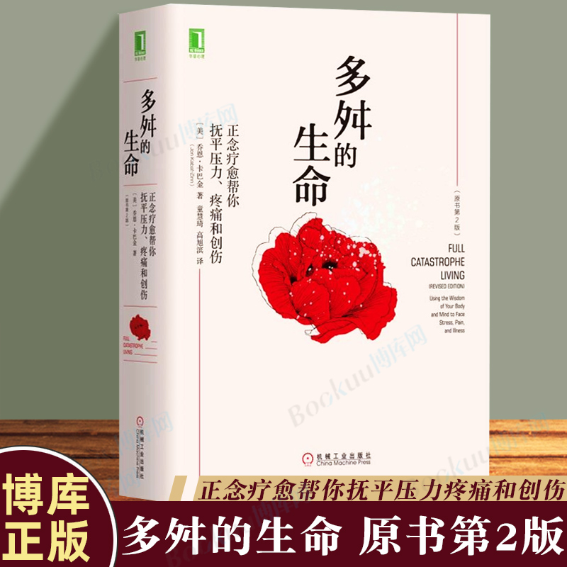 生命正念疗愈抚平压力疼痛创伤