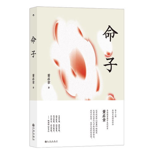 命子  第十三届香港书奖获奖作品 香港重要中生代作家董启章 博库网