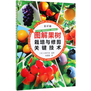 图解果树栽培与修剪关键技术 小林干夫 果树 整形修剪 栽培 葡萄 桃 苹果 梨 李 板栗 柿子 蓝莓 无花果 博库网