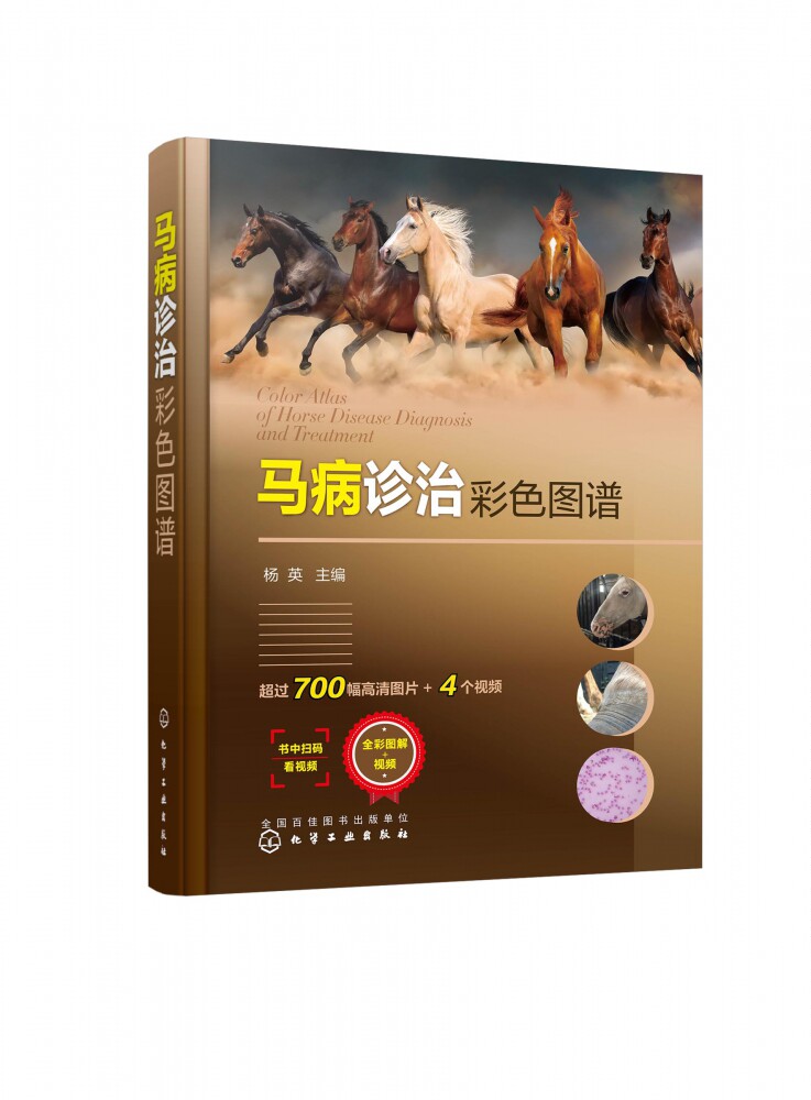 马病诊治彩色图谱 杨英 马寄生虫病 马内科病 马外科病和马产科病诊治技术 马病诊治指导书 养马技术人员基层兽医b备工具书