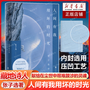 人间有我用坏的时光 藏地诗人张子选献给每一个在尘世中艰难跋涉的灵魂 现代当代文学 大冰保重一书万字长文盛赞推荐 磨铁图书