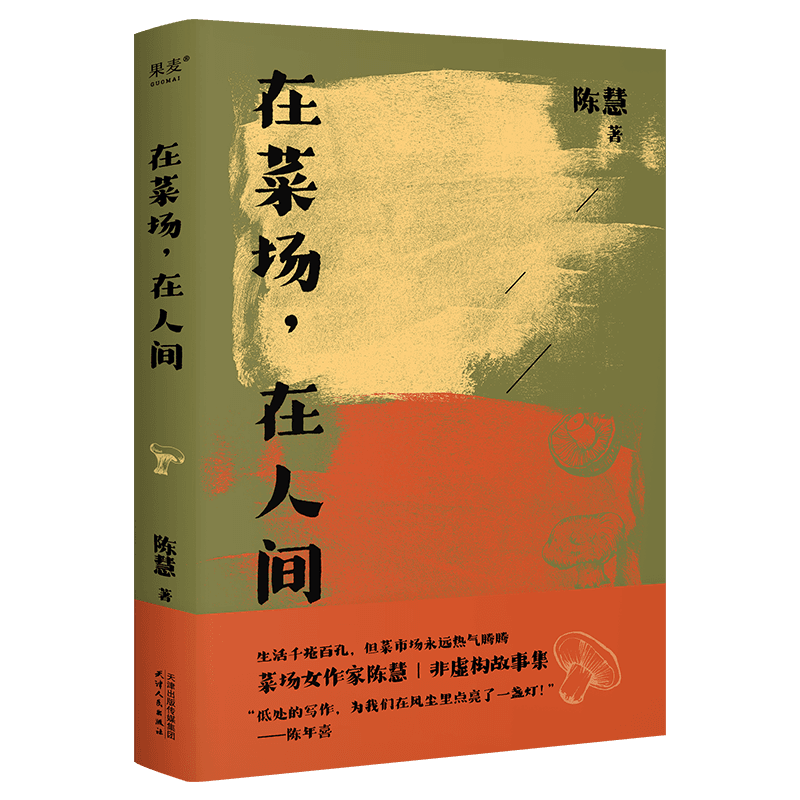 全套5册 在菜场在人间+渡你的人再久也会来+世间的小儿女+去有花的地方+她乡 菜场女作家陈慧非虚构故事集 一群菜场小贩当代散文学