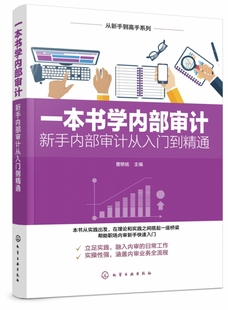 审计方案 解析审计思维和方法 从新手到高手系列 一本书学内部审计 实用技能 新手内部审计从入门到精通 帮助职场内审新手快速入门