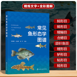 常见鱼形态学图谱 洛阳地区鱼类图鉴 基本特征与生活习性 分布情况与繁殖特点 鱼类分类与鉴定指南 水产科学工具书 渔业科研参考书