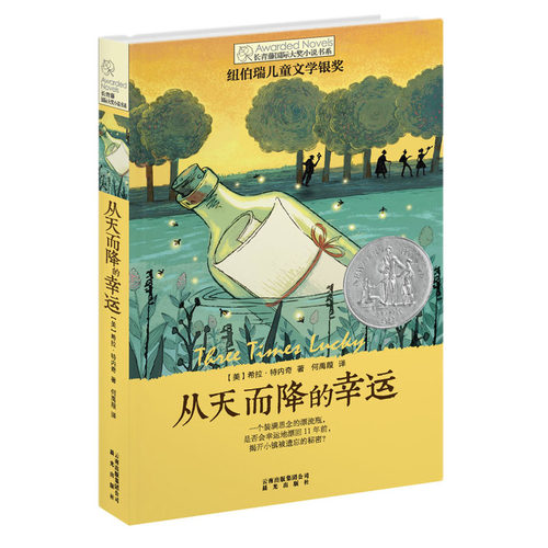 正版现货 从天而降的幸运/长青藤国际大奖小说书系 第2辑 6-12-15岁中小学生课外阅读书籍 青少年儿童文学校园成长故事 晨光出版社