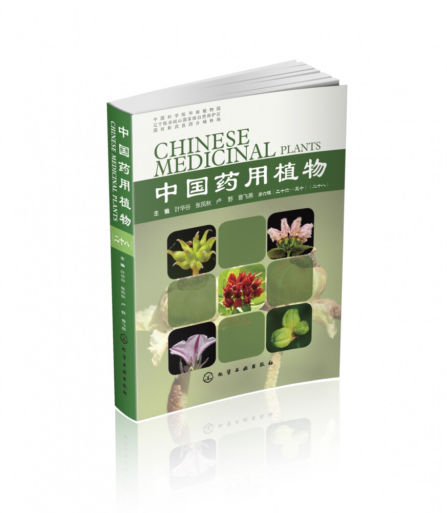 中国药用植物28 当代本草纲目 中国药用植物全书 6000余种中草药性味