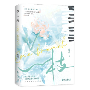 一枝 绿山高口碑BE美学代表作 随书附赠主角人设卡×2+拍立得+场景海报+双面明信片 青春纯爱畅销小说书籍