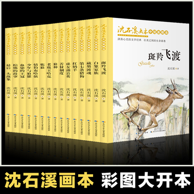 沈石溪画本系列彩图版