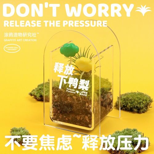 苔藓微景观创意绿植摆件